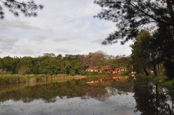 A fazenda em Ribeirão Preto - SP